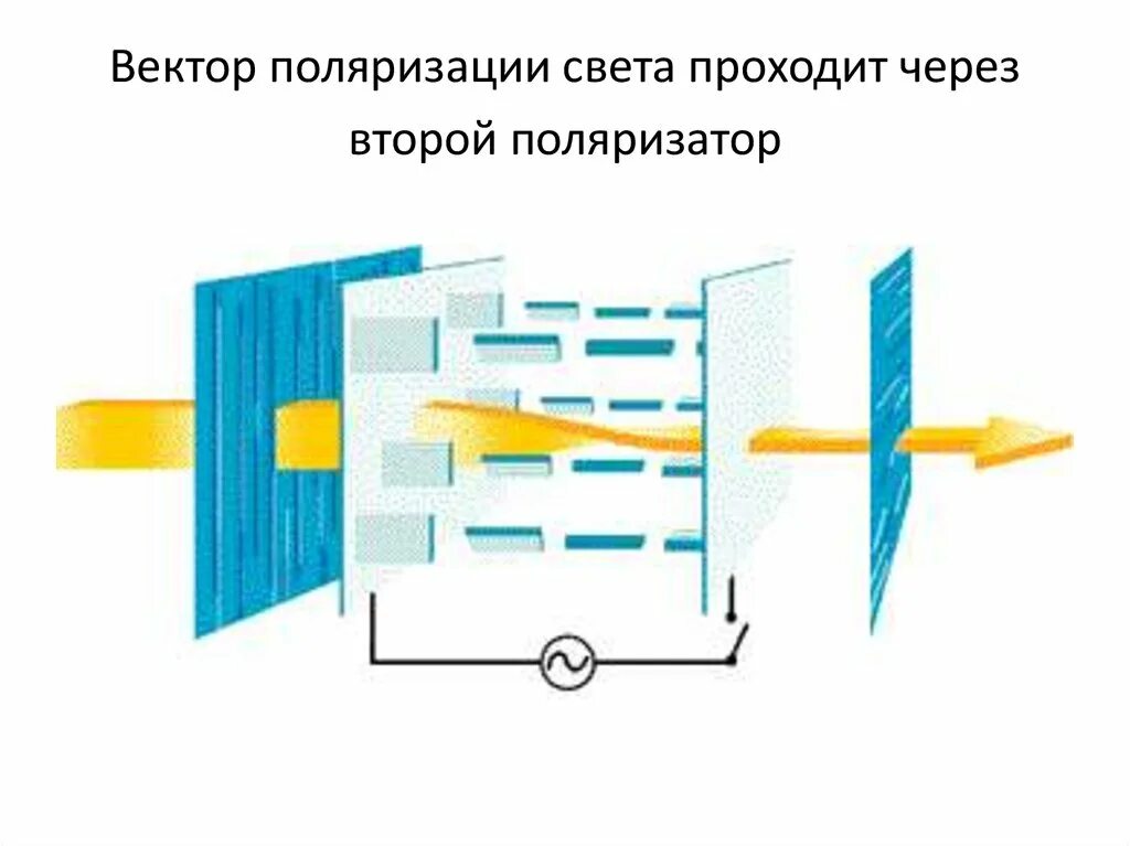 Работа жк дисплеев. Поляризация ЖК дисплея. Поляризация жидких кристаллов. Жидкие Кристаллы в дисплеях. Жидкокристаллическая ячейка.