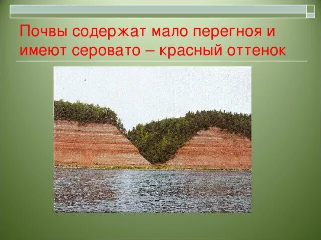 Почва тайги 4 класс окружающий мир. Почва тайги 4 класс окружающий мир