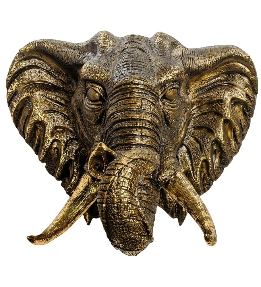 Слон бф. Слон фото. Слон бф. Слон бф. Фарфоровый слон в бронзе часы китай.