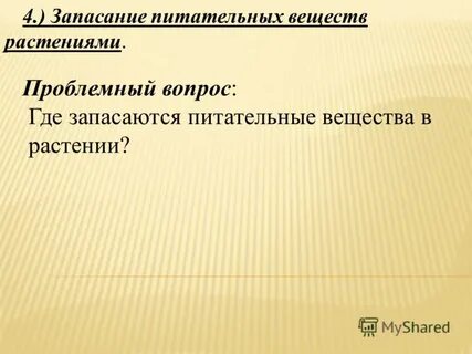 Как растения запасают питательные вещества