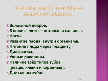 Признаки млекопитающих от других животных