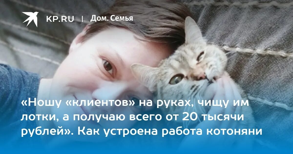 Действие кота если сема вопит котоняня. Котоняня.