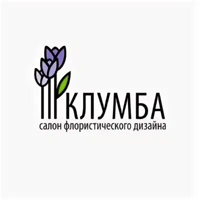 Дизайнер йошкар ола