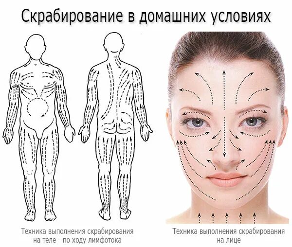 Массажные линии для вакуумного массажа. Лимфодренажный массаж тела щеткой схема. Схема массажных линий. Массажные линии тела схема. Массажные линии лица схема.