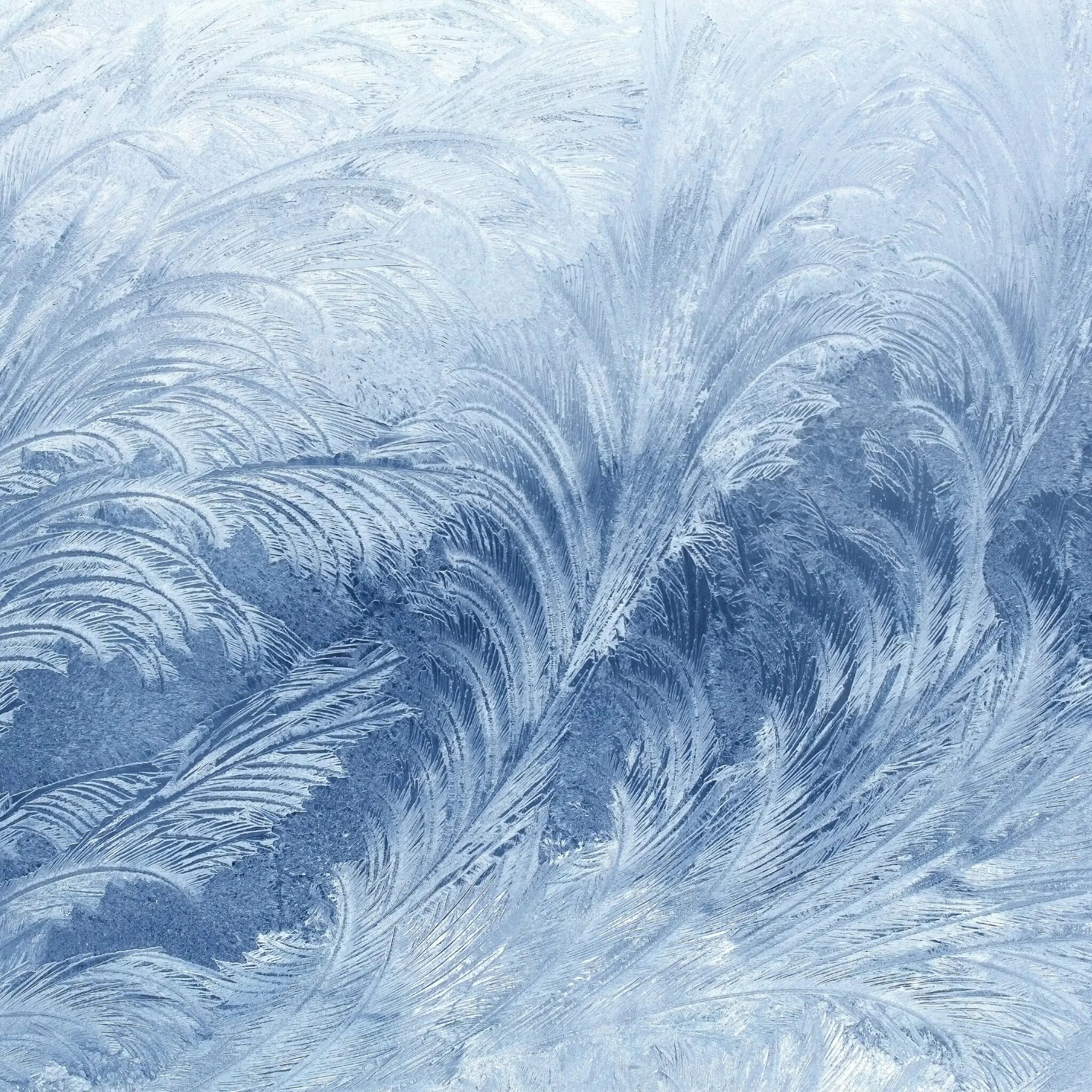 Морозные узоры на окне. Морозные узоры. Картина зимние узоры. Картина зимние узоры. Картина зимние узоры.