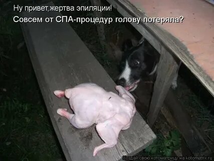 Ну потеряла