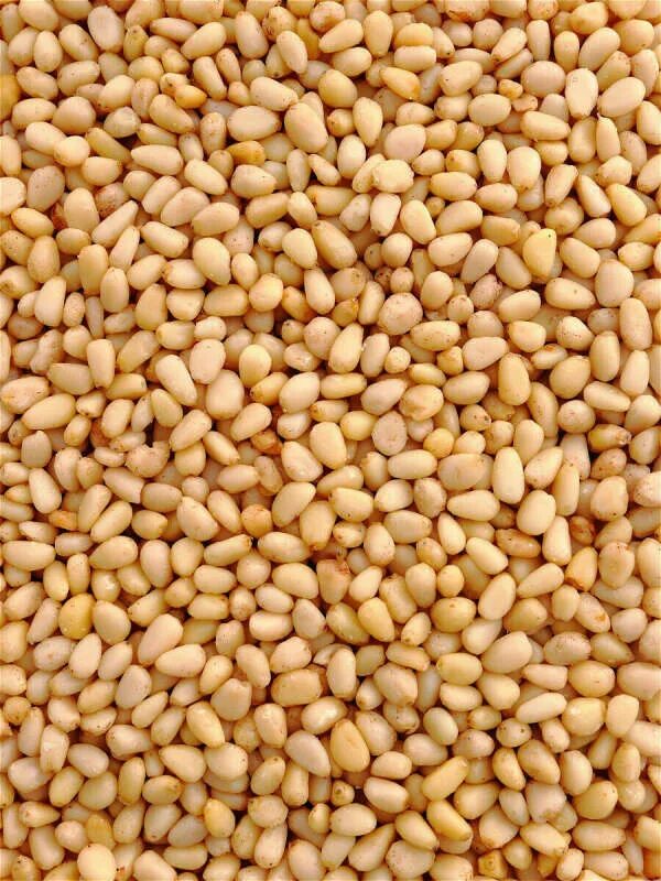 Орех кедровый в улан. Natural nuts кедровые орешки. кедр орех. кидрой охре х. ядро кедрового ореха.