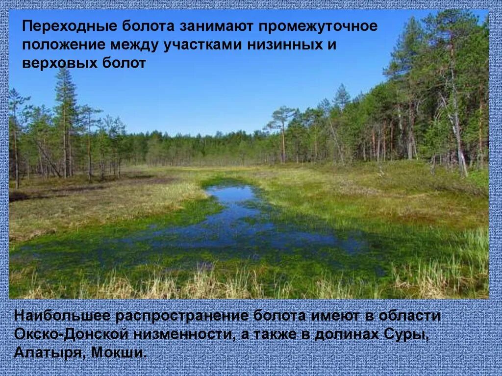 Дача занимая широкую и болотистую