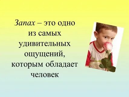 Запах прошедшего текст