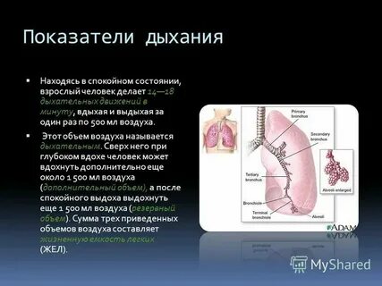 Общее дыхание это