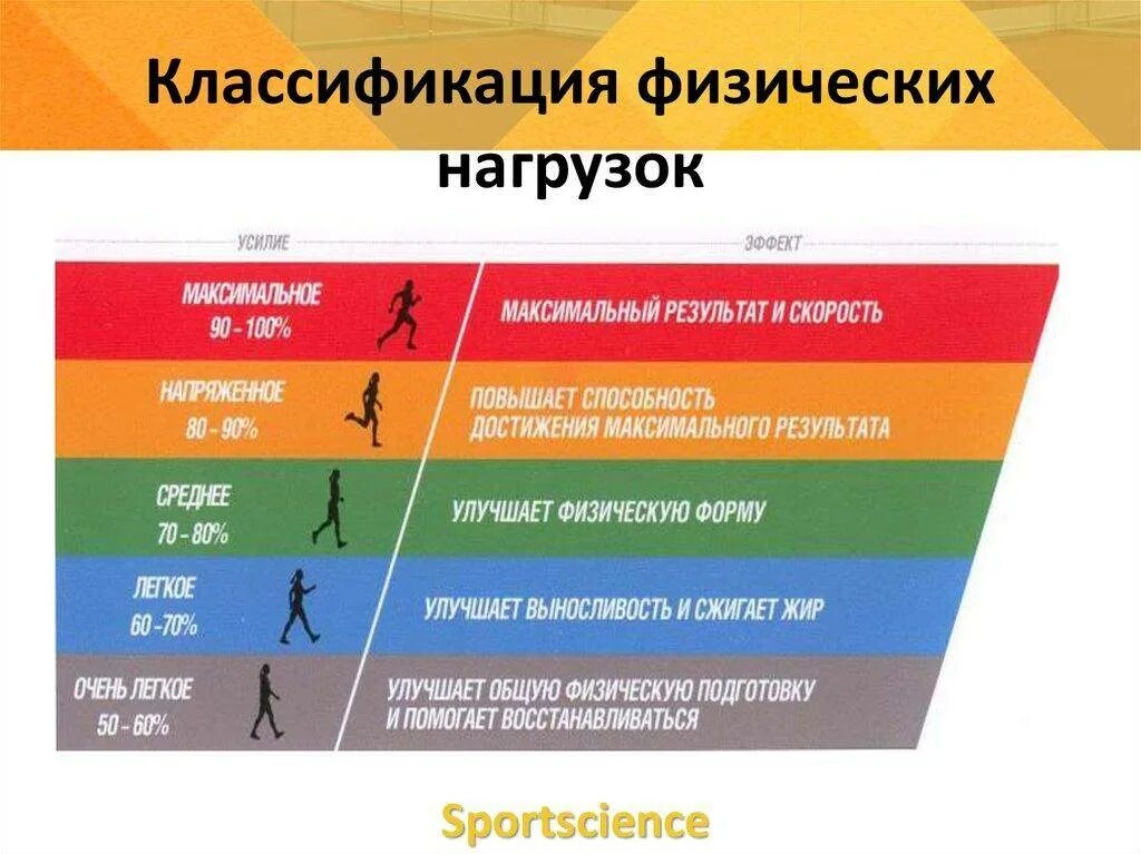 Типы физических нагрузок. Максимальная физическая нагрузка. Классификация нагрузок и физических упражнений. Градация физических нагрузок.