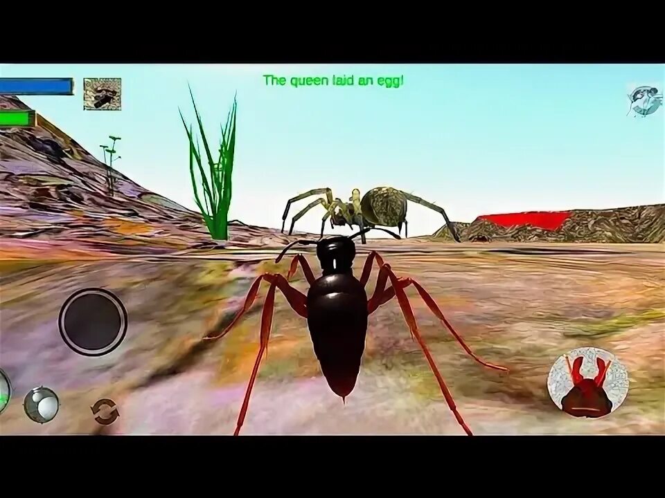 Игра муравьи пауки
