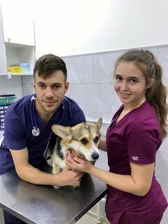 Ветклиника лиски