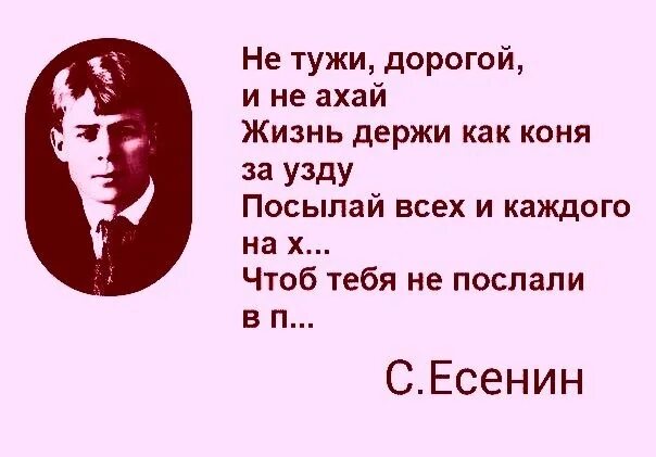 Сергей есенин стихи. Не тужи дорогой и не ахай. Есенин узда стих. Матерные цитаты есенина. Есенин матерные стихи.