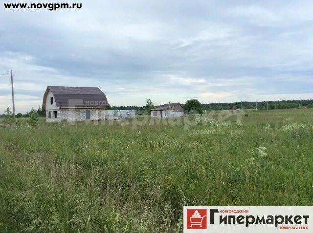 Деревня домнино. 100 000 гектаров. 1 гектар поля. Участок за 100 тысяч. Перхачево архангельск.