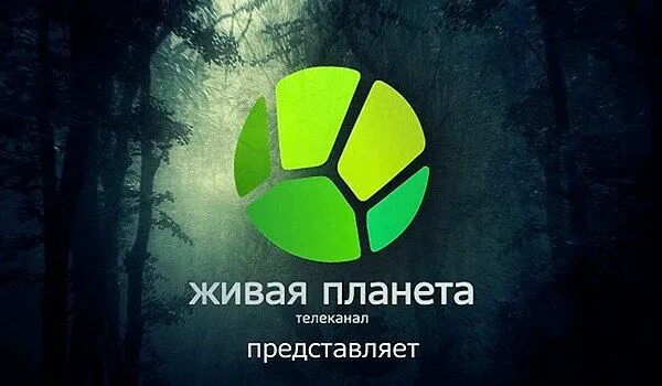 Живая планета логотип. Живые обои планета. Телеканал живая планета. Живая планета телеканал 2015. Логотип канала живая планета.