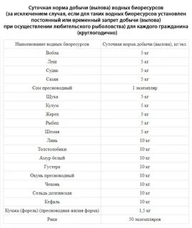 Штрафы за рыбу в 2024 году