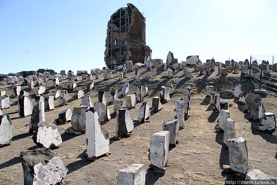 опенармения форум