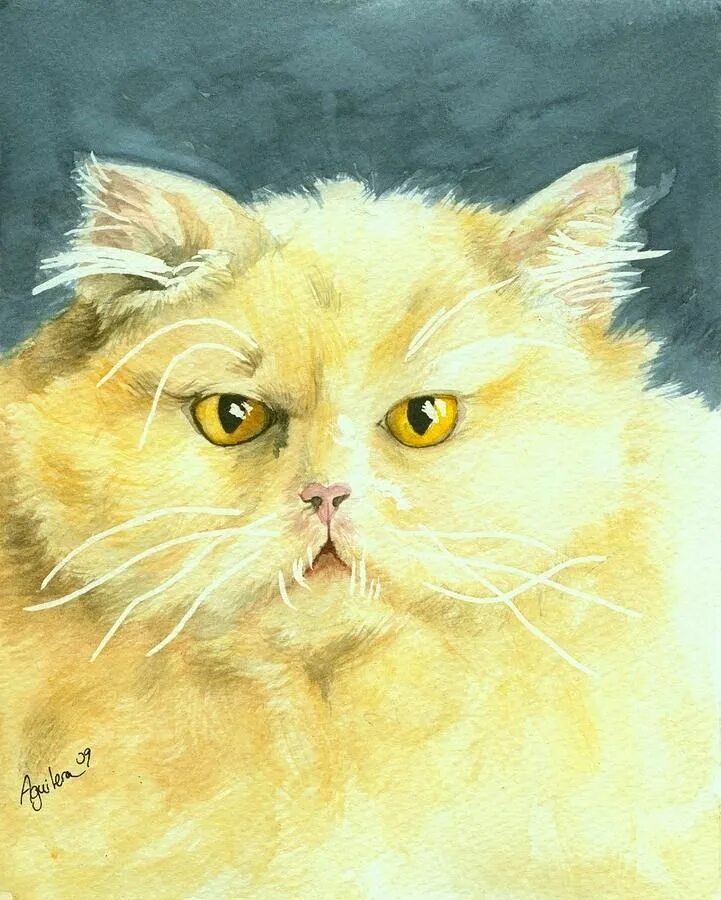 Кошечка желтая. Желтая кошка. Персидская кошка в живописи. Кот с жёлтыми глазами в живописи. Желтые котята акварель.