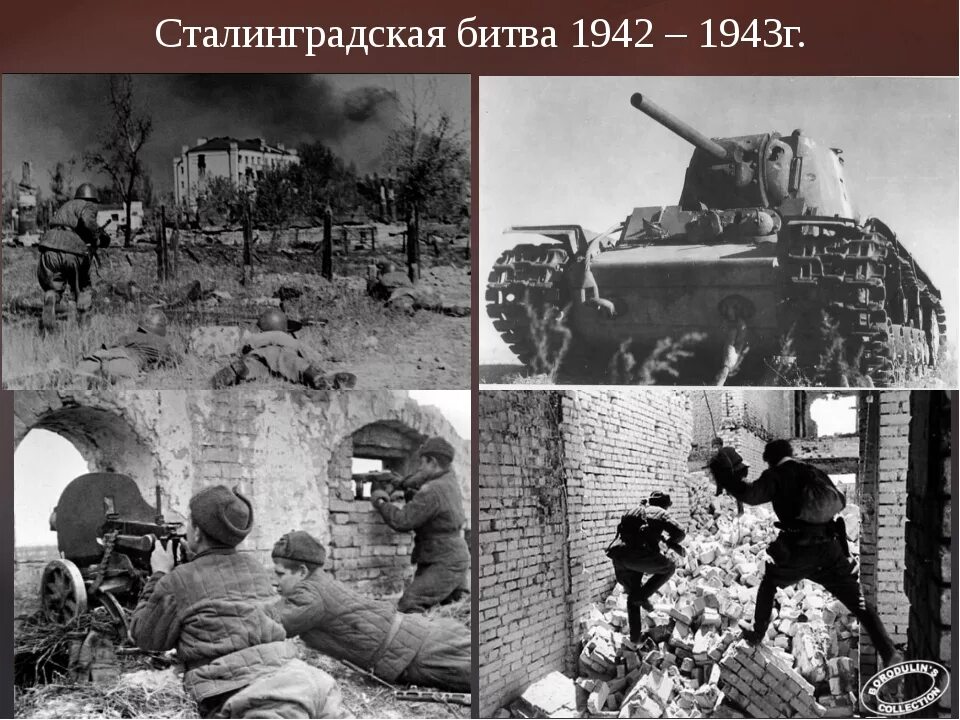 Кто отличился в ходе сталинградской битвы
