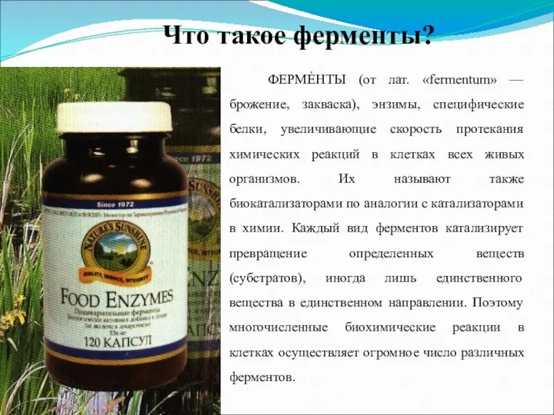 Растительные ферменты для пищеварения. Для пищеварения препараты. Комплекс сильных ферментов эвалар. Растительные ферменты препараты. Ферментные препараты растительного происхождения.