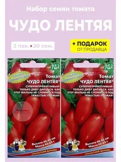 Сорт томатов чудо лентяя отзывы