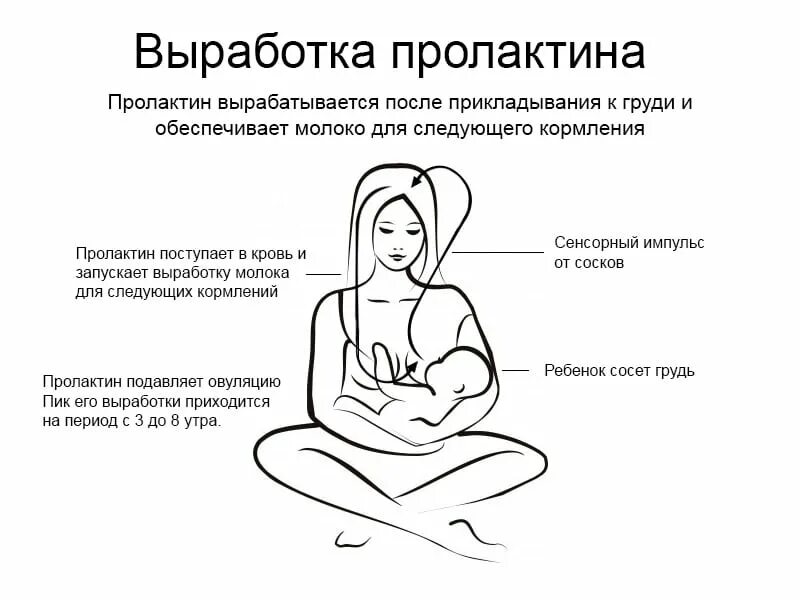 Массаж при лактации