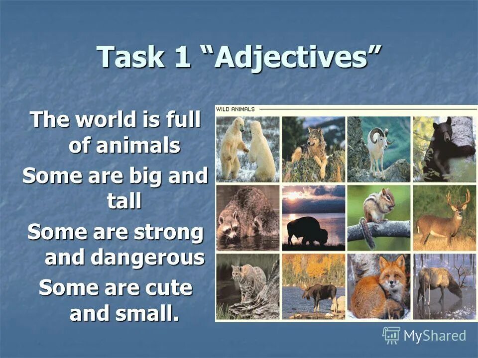Some are dangerous. Some are dangerous. Some are dangerous. каминг аут на английском. Some are dangerous.