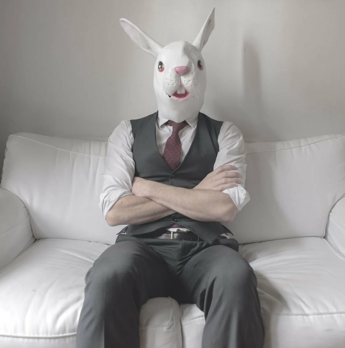 Парни в костюмах кролика. Костюм кролика мужской. Мужчина в костюме кролика. Роберт дауни младший в костюме зайца. Мужчина в костюме кролика.