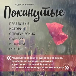 Автор надежды