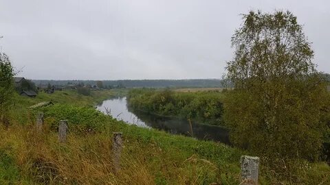 Погода в согре архангельская область
