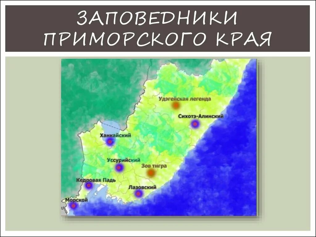 Какие заповедники на территории приморского края