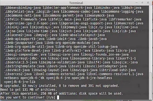 Debian python install