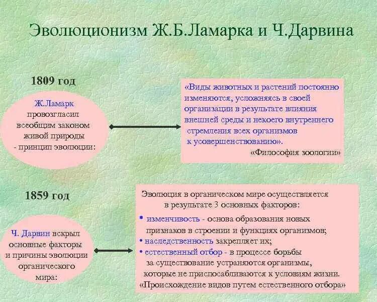 Ламарк взгляды на эволюцию таблица. Линней ламарк дарвин.