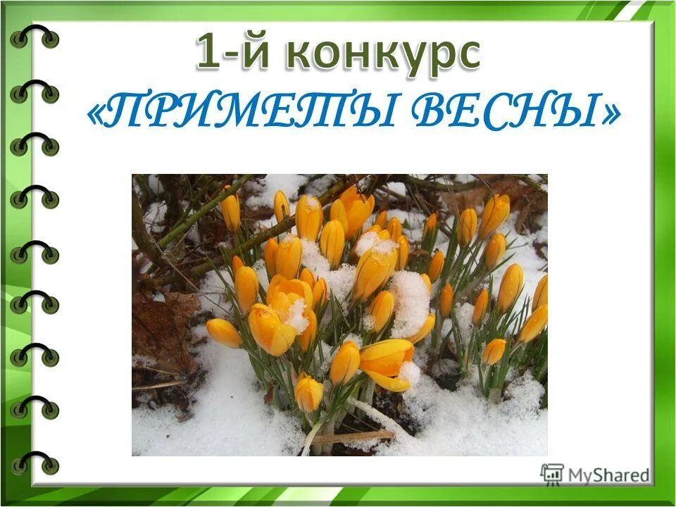 Информация про весну