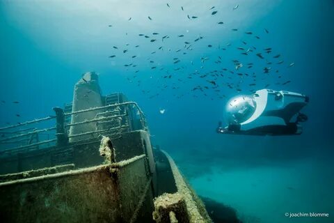 The deep sea сайт