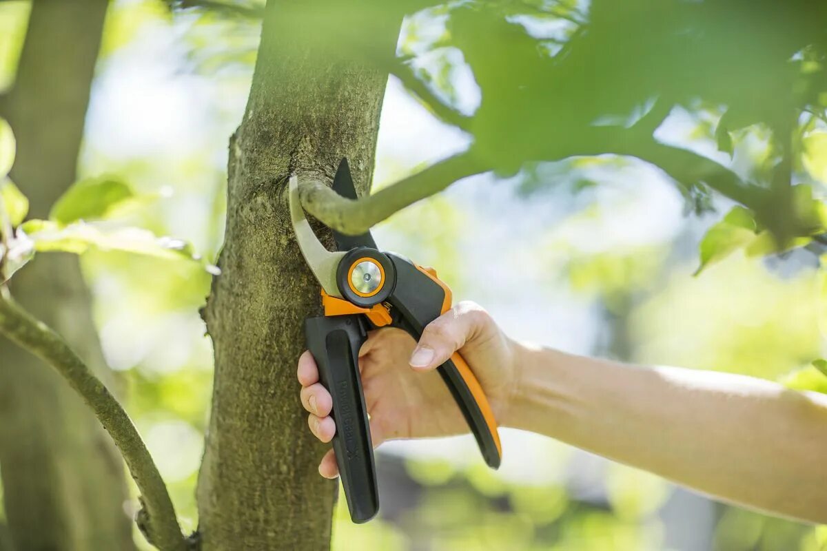 Как выбрать секатор садовый. Секатор плоскостной fiskars powergear l px94 (1023628). fiskars px94. секатор садовый фискарс. секатор фискарс 94.