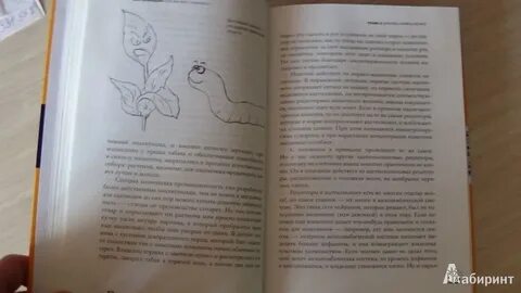 Книга асты читать