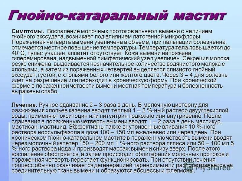 История болезни мастита. Гнойно катаральный мастит. Гнойно катаральный мастит у коров. Гнойный мастит лечение.