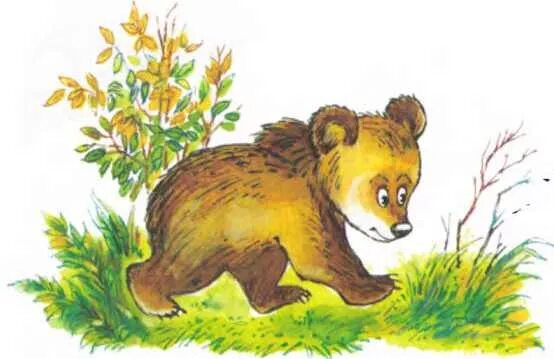 Медведь сказочный. Медведь идет. Медвежонок картинка для детей. Медведь картинка для детей. Медвежонок отправился бродить по полянке вдруг