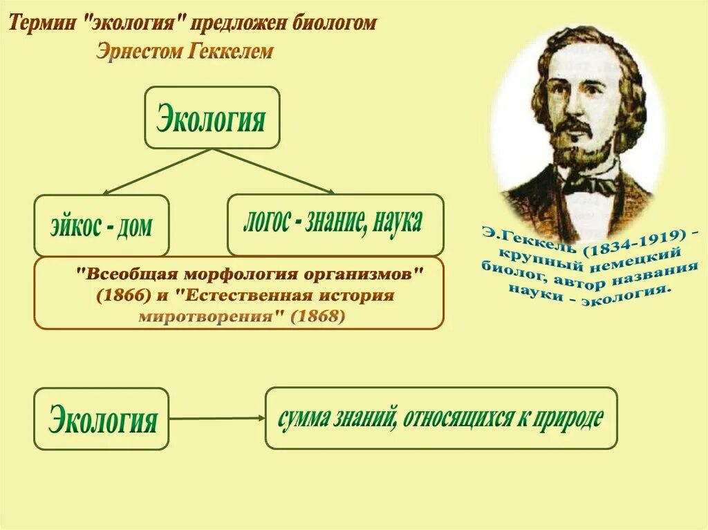 Термин экология. Понятие термина экология. Термин экология предложил. Термин экология по Геккелю. Термин экология в 1866 году