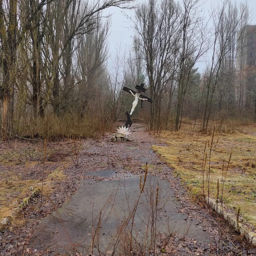 Припять сейчас 2025 что происходит в городе. Припять сейчас 2025 что происходит в городе