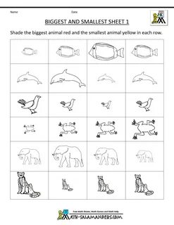 I like small animals