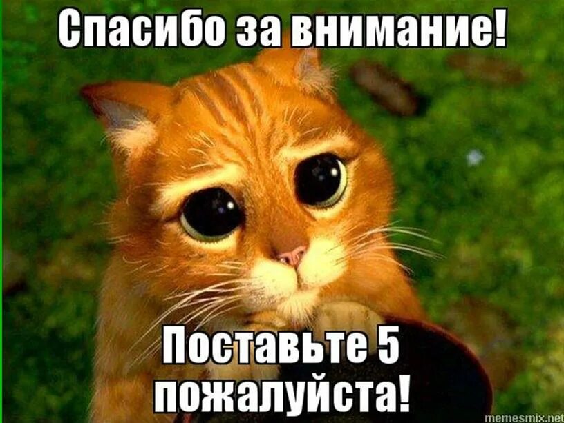 На встречу с ним я не надеялся. Спасибо за внимание поставьте 5. Кот из Шрека поставьте 5. Спасибо за внимание поставьте 5 для презентации. Спасибо за внимание прикол поставьте 5.