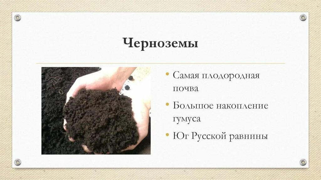 В каком районе наиболее плодородные почвы. Чернозем самая плодородная почва. Чернозем в России. Черноземные почвы России. Плодородие чернозема почвы.