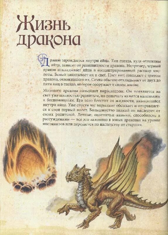Читать драконам слова. Книга драконов. Рассказ про дракона. Детские книги про Драконо. Книга про драконов с иллюстрациями.