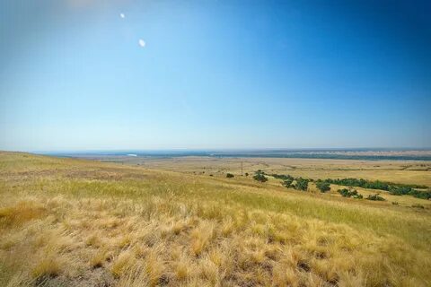 Степь береговая