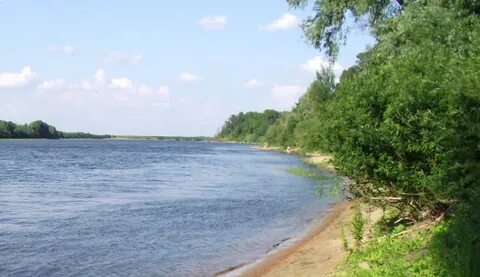 Где можно в рязанской