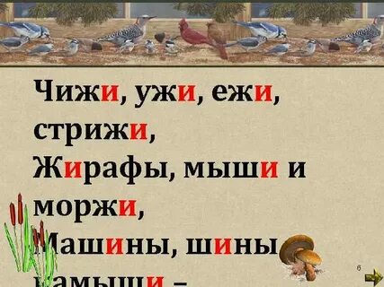 Слоги слова ежи