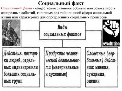 Пример фактов и факторов